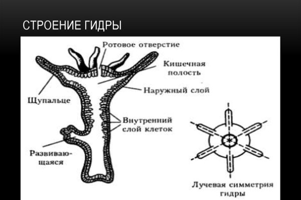 Кракен это современный даркнет маркет