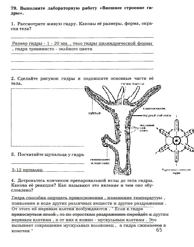 Кракен официальное зеркало