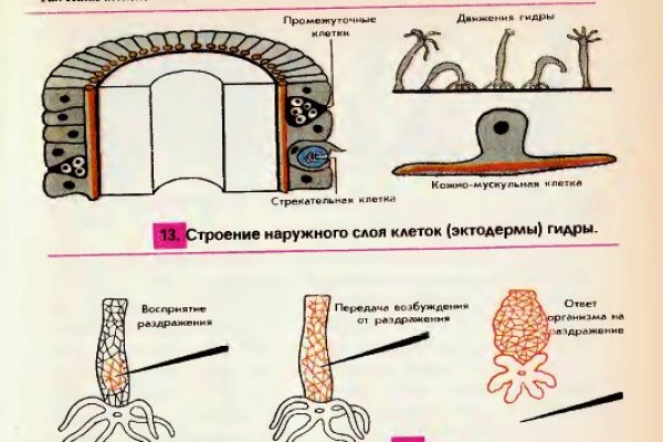 Сайт кракен kraken